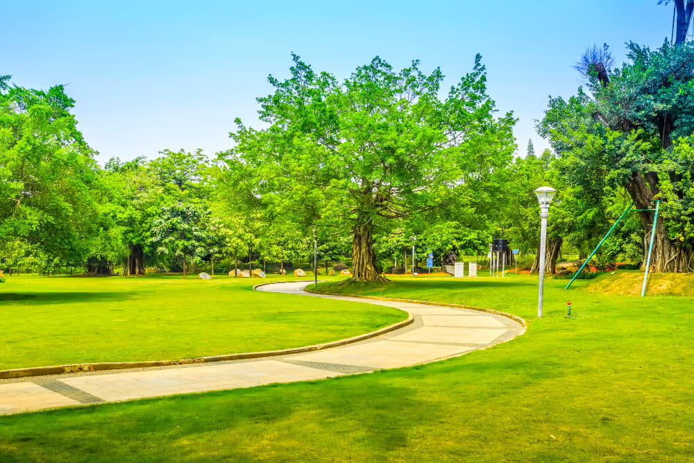 green parks
